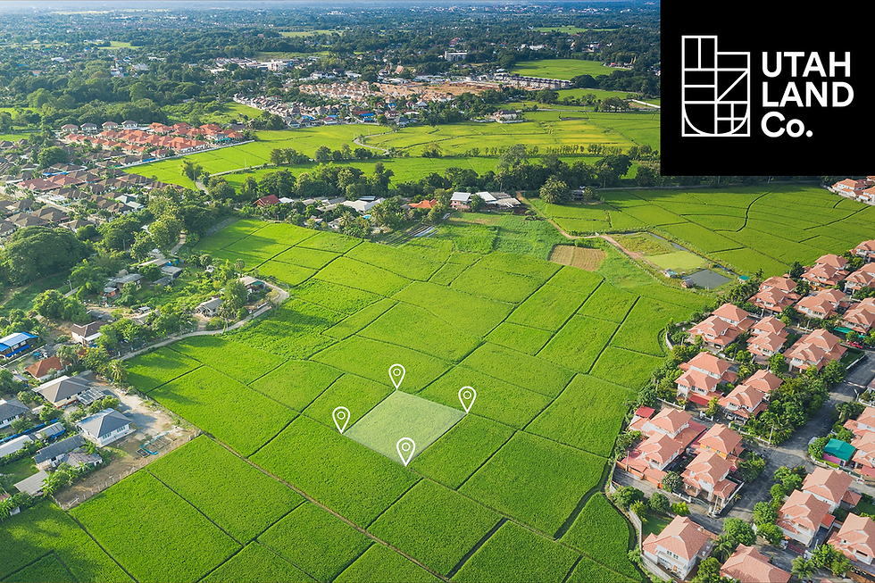 Should You Sell Your Land All at Once, or in Phases