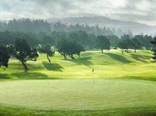 The Best Manzanita Golf Course (And More!)