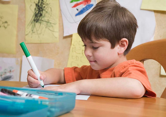 Barton Reading and Spelling, Tutor, Salt Lake City, Utah, Michele Chisholm