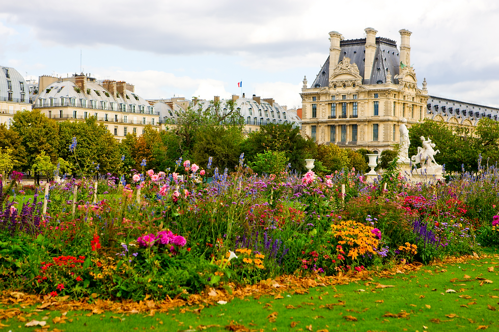 Paris: A Journey Through the Senses