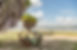 Siwandu-Camp-Selous.jpeg