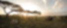 Serengeti-Under-Canvas-6.jpg