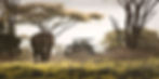 Serengeti-Under-Canvas-3.jpg