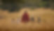 Olivers-Camp-47.jpg