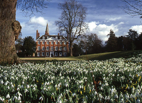 snowdrops-Welford-House-900-x-654.jpeg