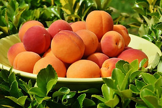apricot_1574530849.jpg