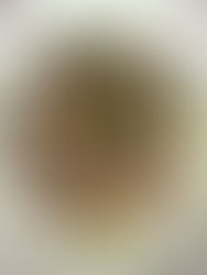 Asian Buckwheat Noodle Salad with Ginger & Chilli Pickled Cucumber & a Creamy Tahini Dressing