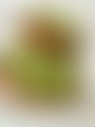 Best EVER Vegan Bacon for a BLT