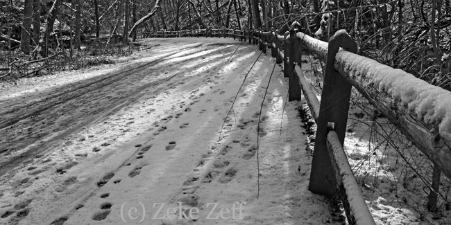 Shadows on snowy trail
