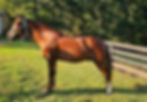 Screenshot_20250729_195430_Gallery