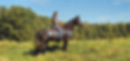 Screenshot_20250915_113036_Gallery