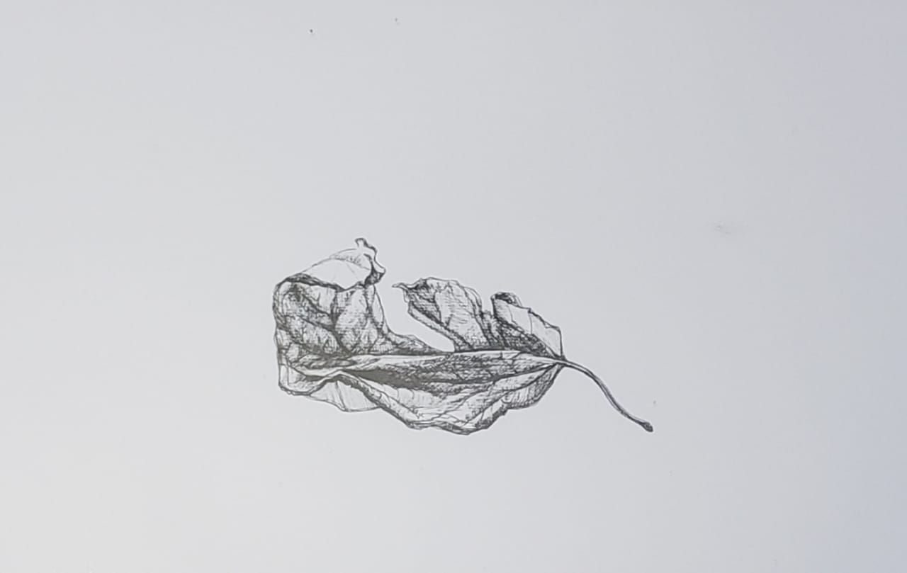 Morte - Caneta nanquim S/Canson 29x42cm