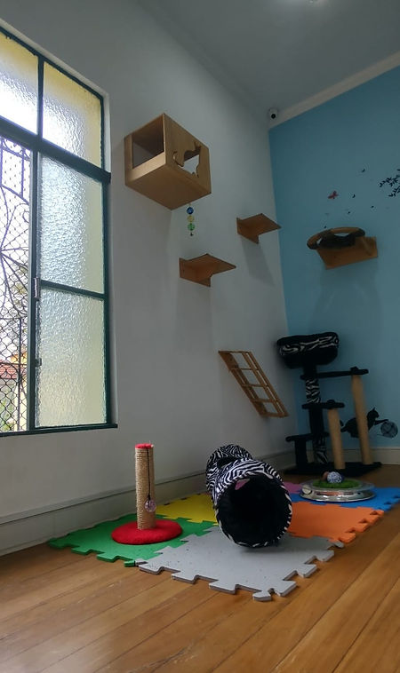 WhatsApp Image 2021-06-10 at 10.23.50 (1