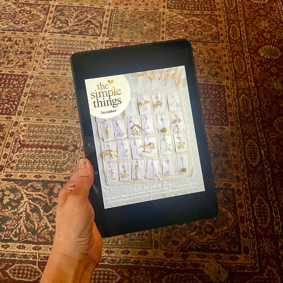 I love the Libby App, and here is why you should too.