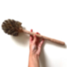 Toilet Brush