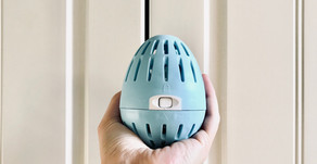Reviewing Ecoeggs