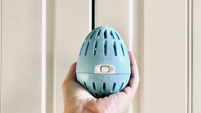 Reviewing Ecoeggs