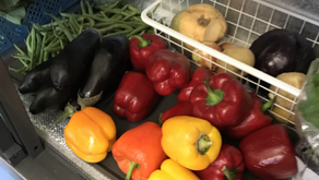 What is the Forest Row Community Fridge?