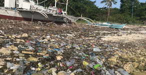 Brand Audit; Extended Producer Responsibility Beach Clean