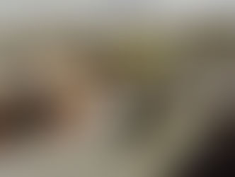 Zapala: llamado a inscripción para cubrir cargos en el Nivel Superior