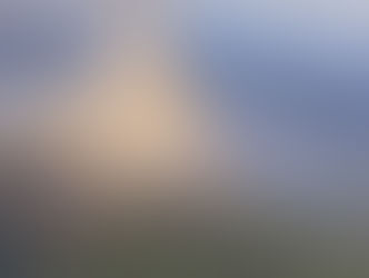 Extraña invasión de arañas en el partido de Lezama