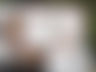 Cerca de 50 inmigrantes mueren en Austria asfixiados en un camión