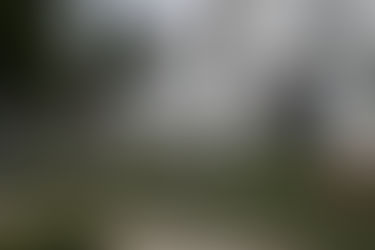 Secuestraron más de 50 kilos de droga