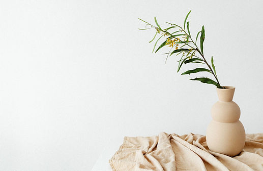 Copy of Cream Minimalist Photography Presentation.jpg