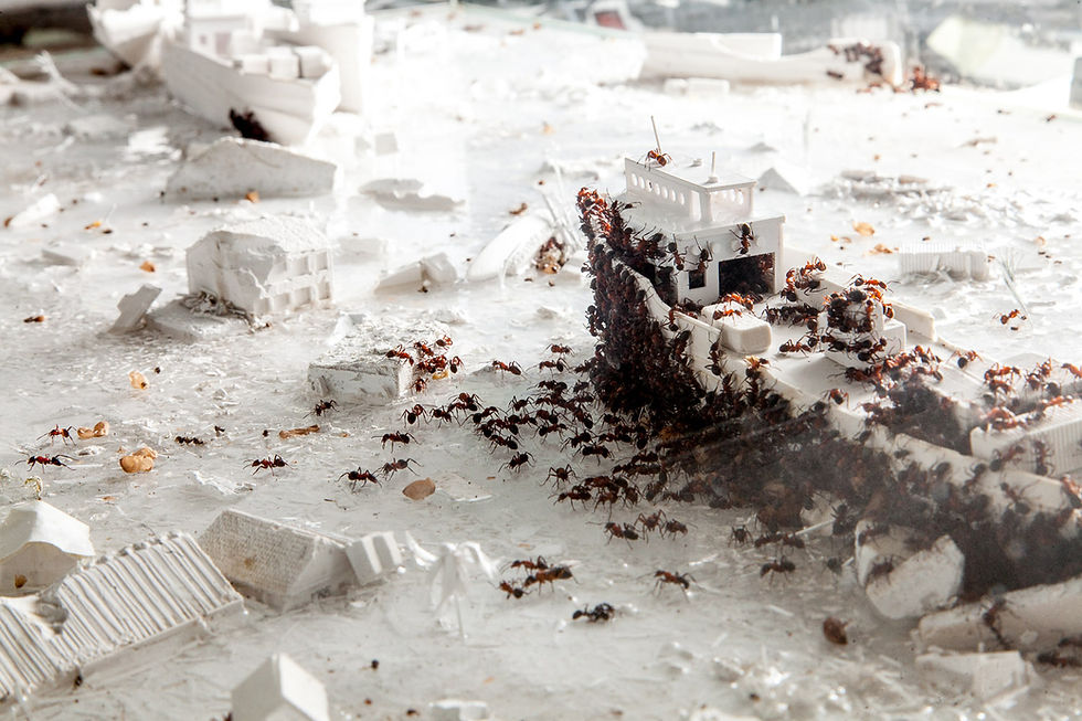 Tacloban werd niet alleen door een tsunami, maar door een metershoge stormvloed verzwolgen. Meer dan 6.300 doden, een stad aan flarden en jaren later nog altijd wonden die niet dichtgaan.