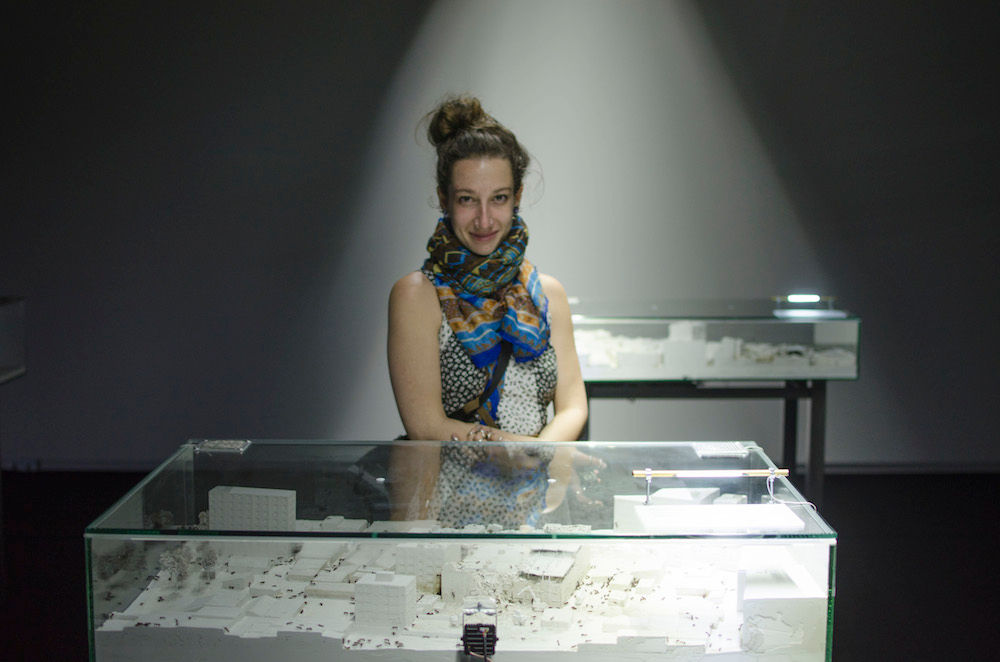 Een grootschalige museuminstallatie met levensgrote vitrines en gipsen miniatuurtaferelen, bewoond door een levende mierenkolonie. Deze interactieve tentoonstelling gebruikt miniatuurmaquettes om de menselijke fascinatie voor rampen en catastrofes beeldend te verkennen.