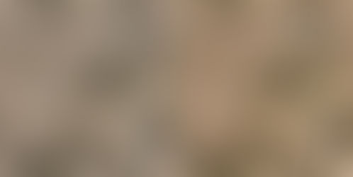 HD Texture Overhaul Project 【高解像度テクスチャMod】