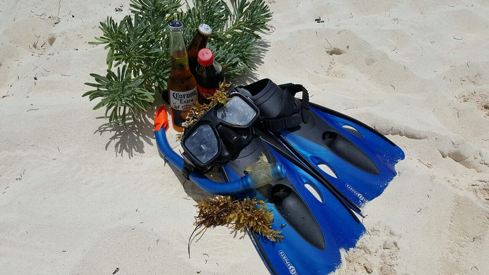 Renta de equipo de snorkel