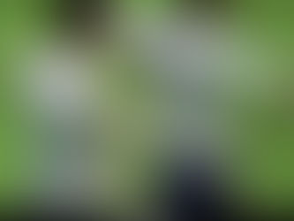 Fifa 09 Authentication Crack [PORTABLE]