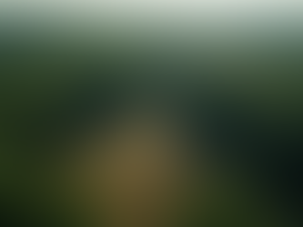 Understanding and Tackling Deforestation and Pollution