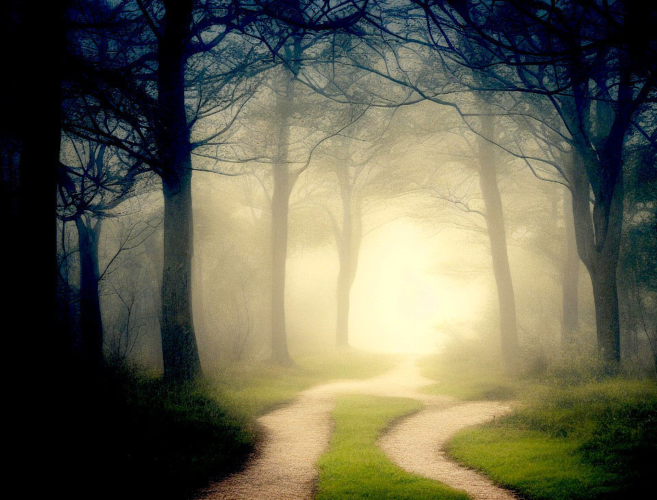 Light emerging slowly symbolizing gradual truth reveal in a mystery novel.