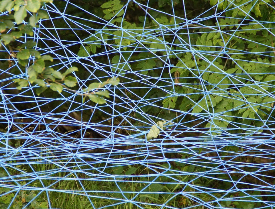 Complex tangled plot representing confusing twists in a mystery novel.