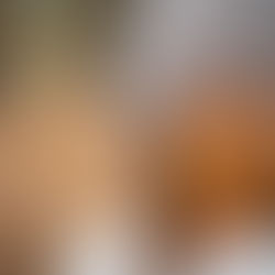 Jak przygotować się do jesiennej sesji zdjęciowej w Krakowie – praktyczne wskazówki