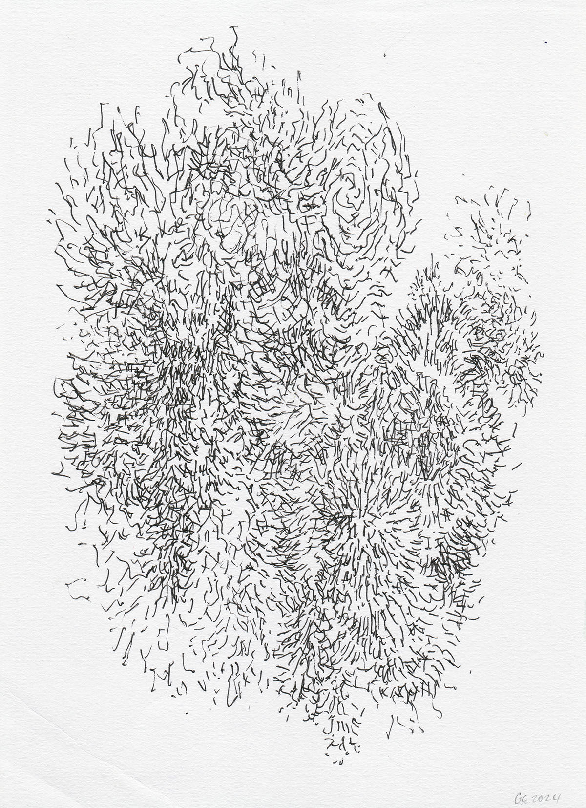 Gary Evans, Emanations 5 (2024)