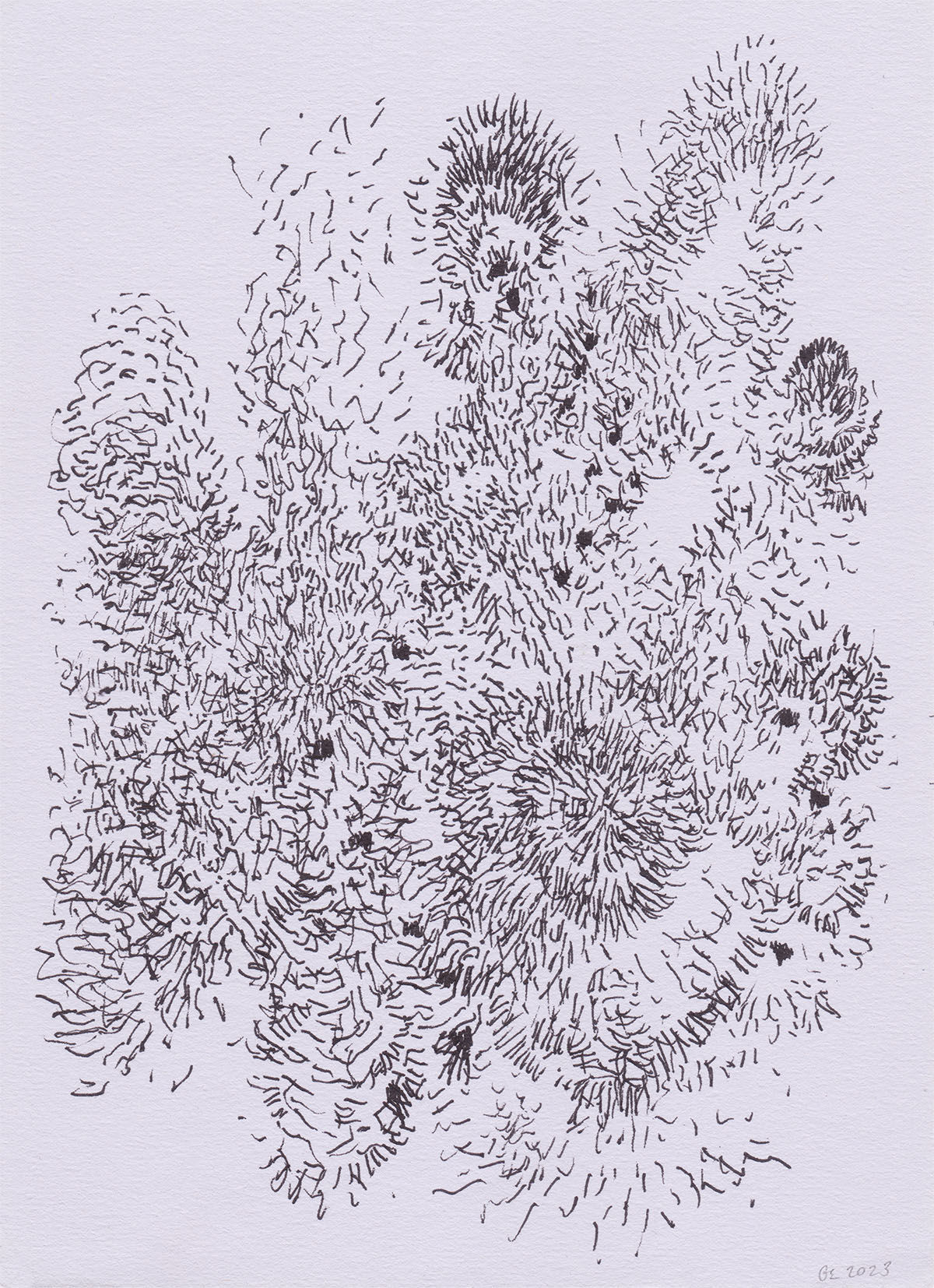 Gary Evans, Emanations 15 (2023)