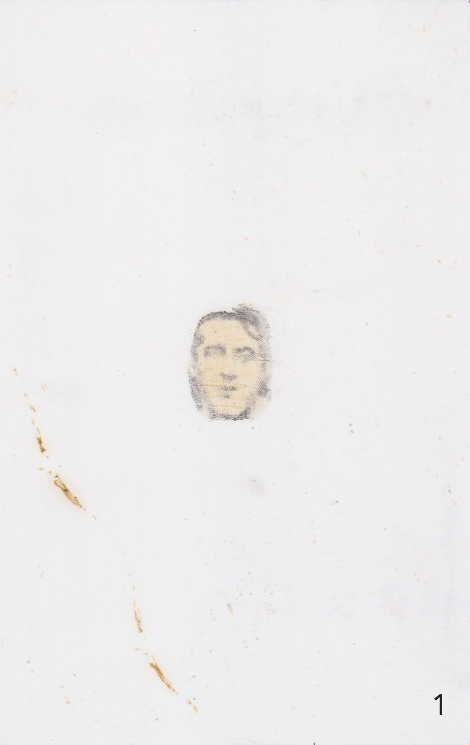Thumbnail: Stephen Andrews: three hundred and sixty-five pictures (1998)