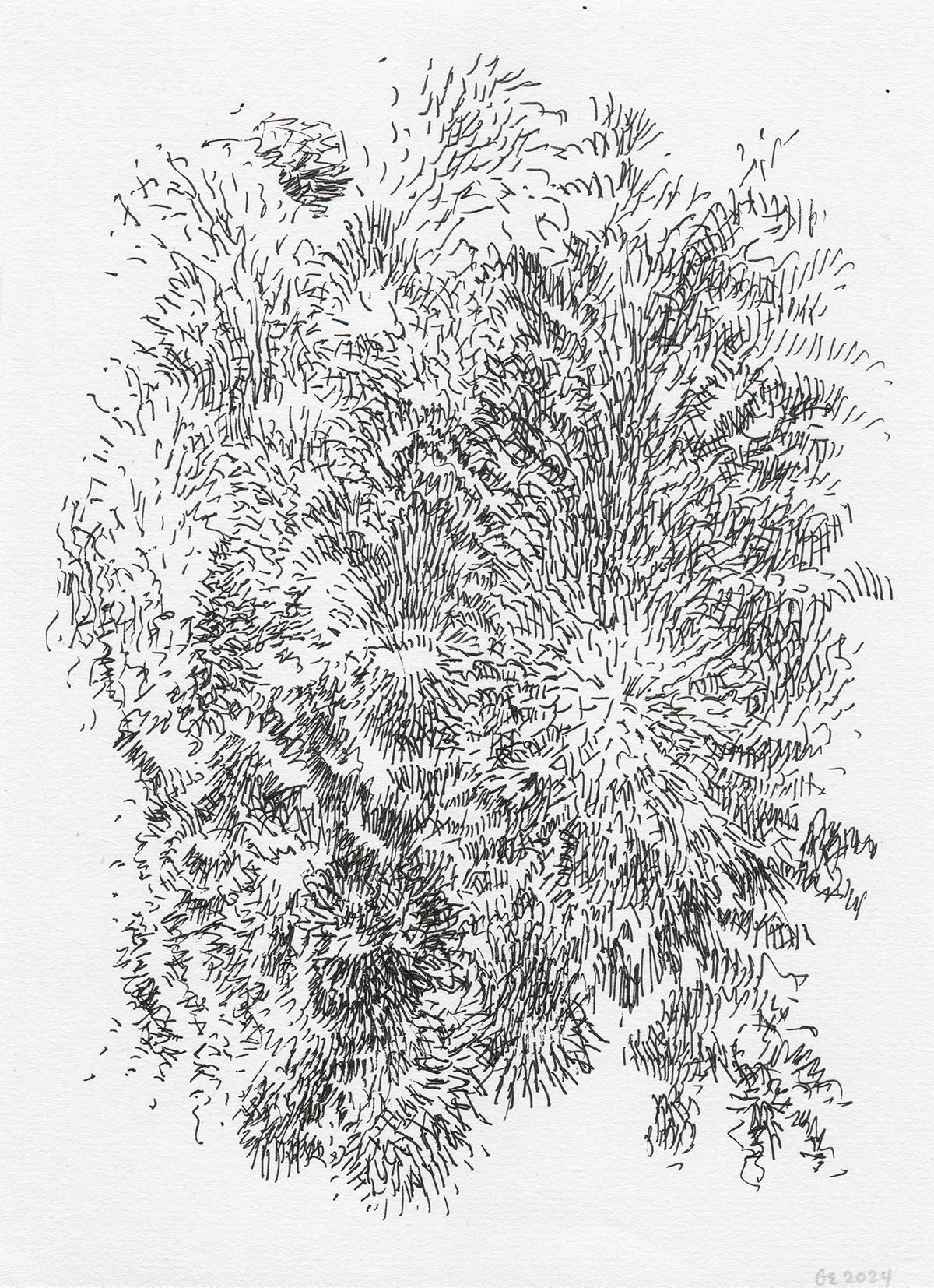 Gary Evans, Emanations 6 (2024)