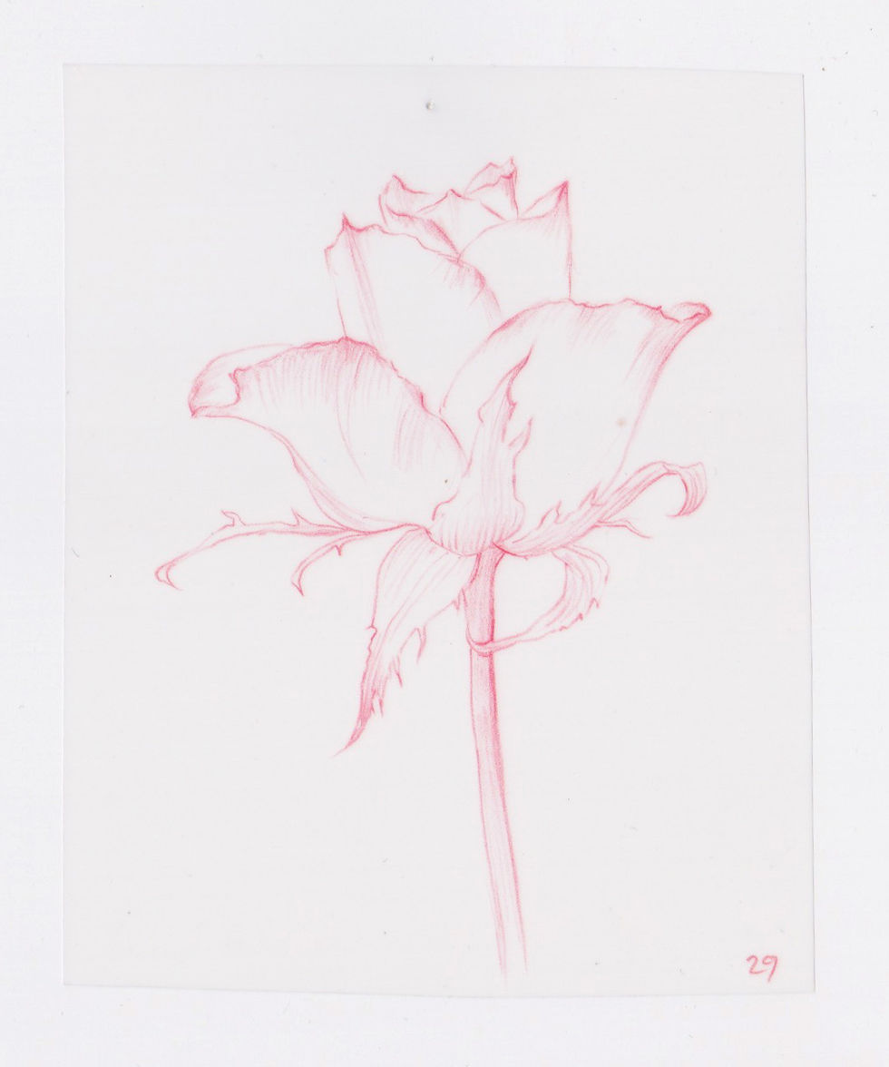 49 Flowers, #29 (2016)