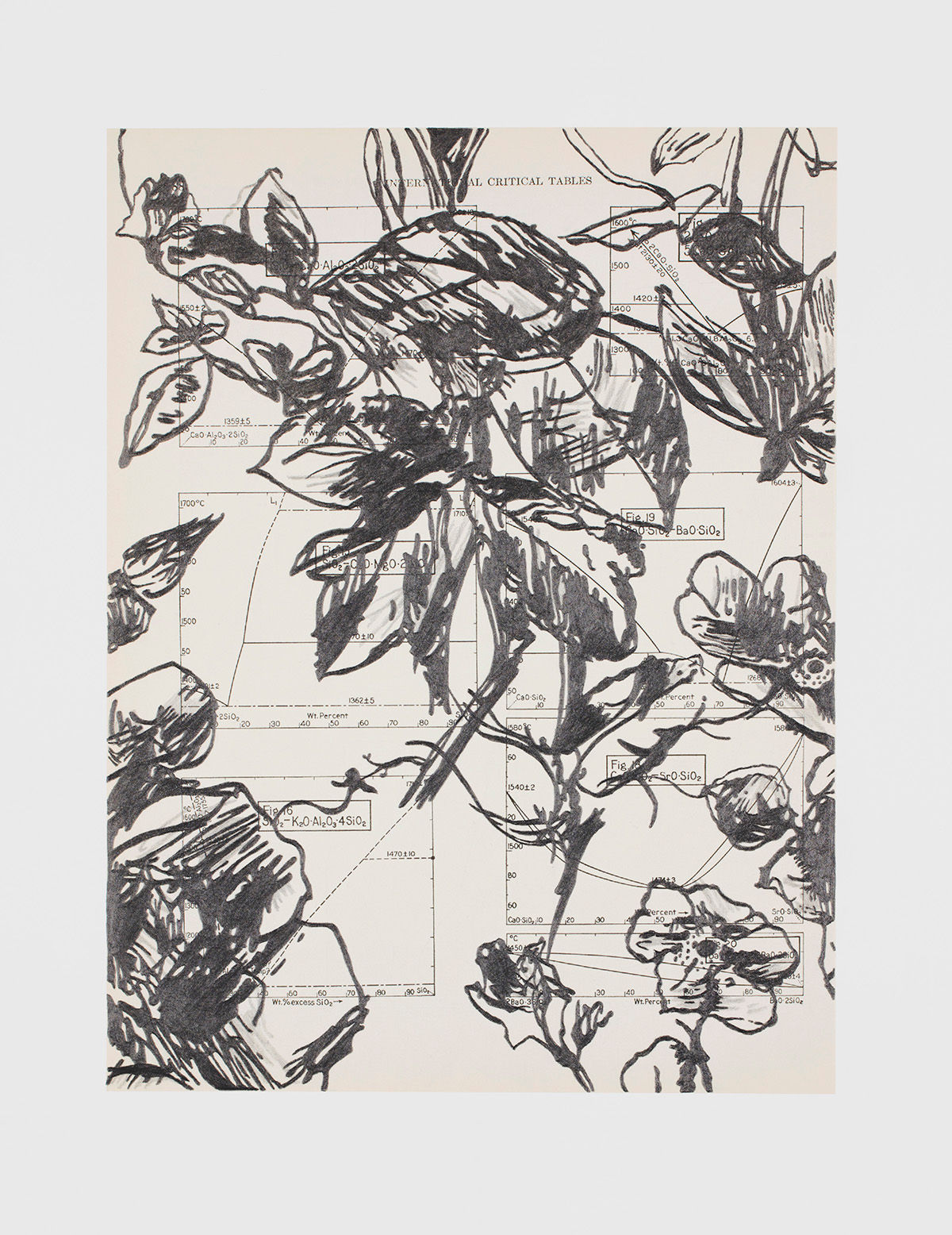 Systems & Elements page 88 (2019)