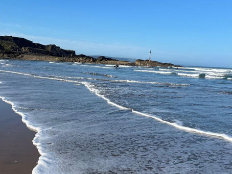 Discover the Magic of North Cornwall with Your Dog 🐾