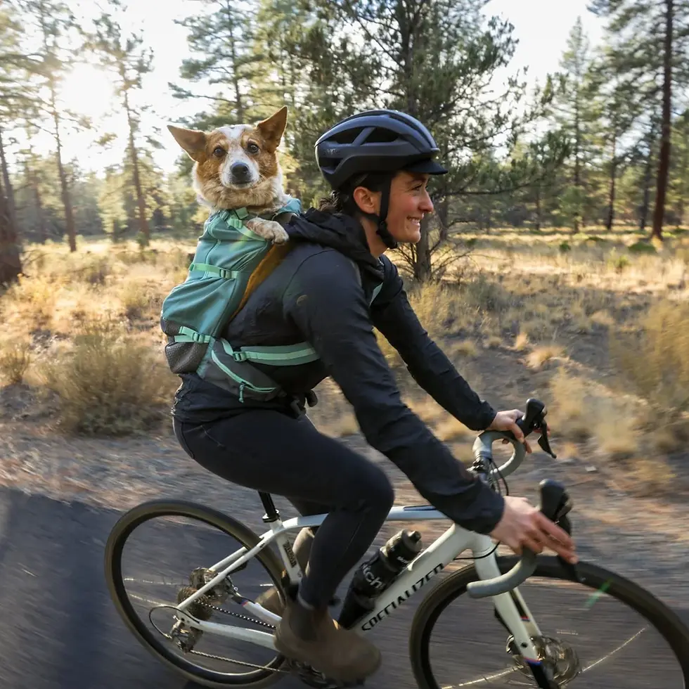 תמונה ממוזערת: תרמיל נשיאה ראפוור Hitch Hiker Dog Backpack Carrier מידה XXS טורקיז