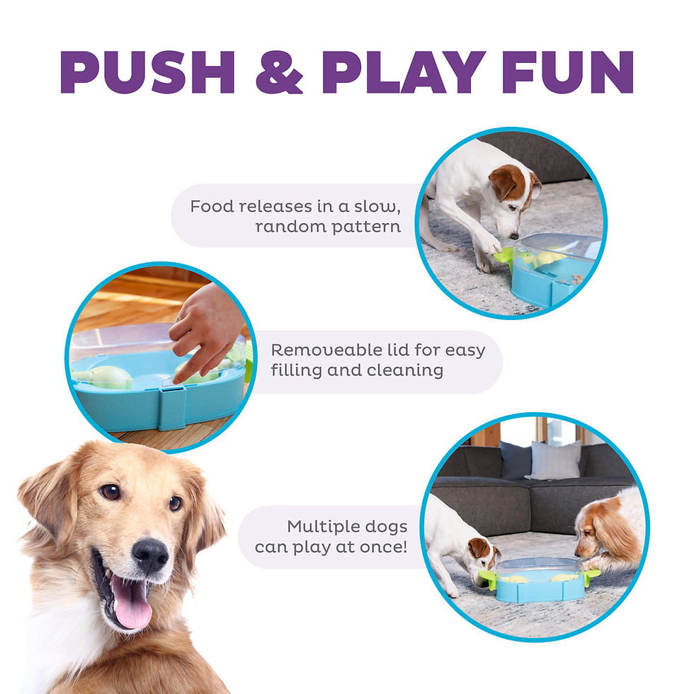 תמונה ממוזערת: משחק חשיבה נינה אוטוסון רמה 2 - Paw N' Play