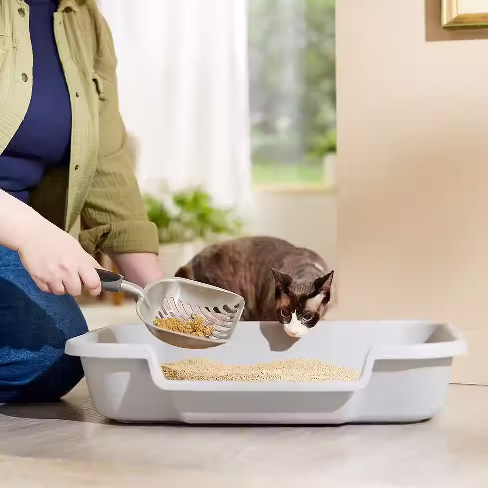 תמונה ממוזערת: וורלדס בסט חול אקולוגי מתגבש - אדום - מולטי קט ללא בישום 3.63 ק"ג