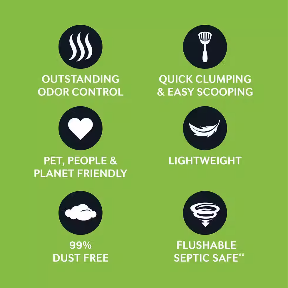 תמונה ממוזערת: וורלדס בסט חול אקולוגי מתגבש - ירוק - אוריג'ינל ללא בישום 3.63 ק"ג