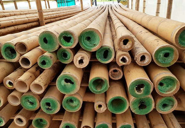 6M-BAMBOO-POLES-SIZE-COLOR-CODED.jpg