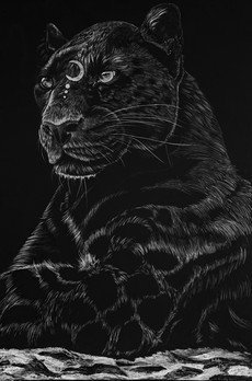 Panthera Lunae